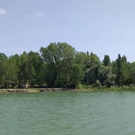Le Rondini
