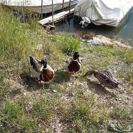 Le Rondini Apartamento