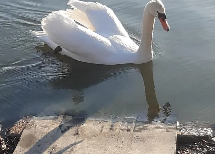 Apartamento Le Rondini Torricella (Magione)