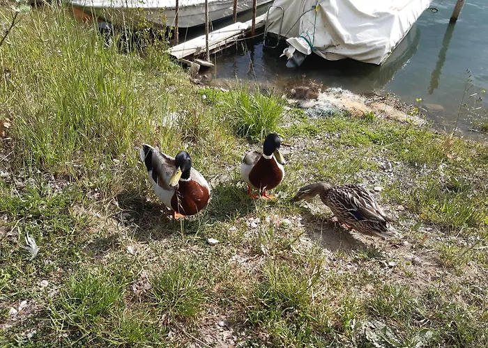 Le Rondini Apartamento