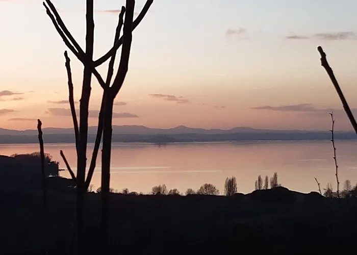 Le Rondini * Torricella (Magione)