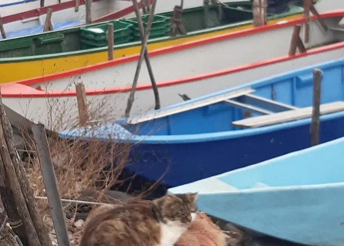 Le Rondini Apartamento